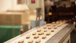 Candy on a Conveyer Belt with Chocolate Drizzle Stock Footage