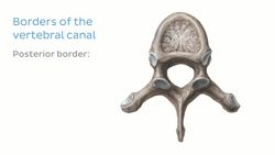 Cavities of the body Instructional Video