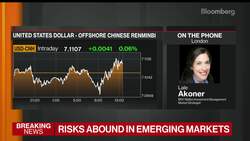 BNY Mellon’s Akoner on EM, China, IMF Lending, Globalization News Clip