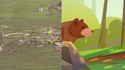 High Five Facts - Canada Instructional Video