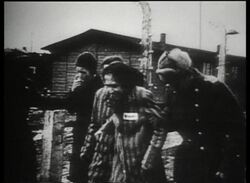 Liberation of Auschwitz Documentary - Part 4 of 11 Stock Footage