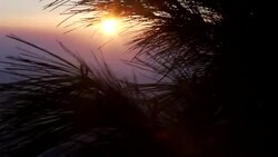 Slow pan left of the Judaean desert at sunrise Stock Footage