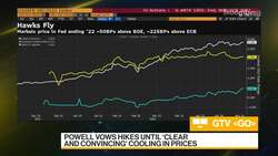 Arena Investors' Zwirn on Markets and Strategies News Clip