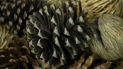 ornaments on Christmas tree Stock Footage