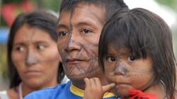 Brazil Demographics Instructional Video