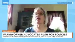 Farmworker Advocates Push For Federal Protections Amid Pandemic News Clip