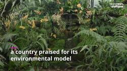 Over 5,000 Costa Rican orchid blooms tropically transform London's Kew Gardens News Clip