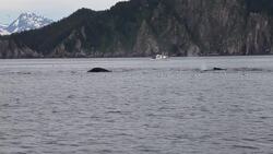 Graphing Water Reservoirs Instructional Video