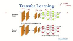 Deep Learning CNN Convolutional Neural Networks with Python - What Is Transfer learning Instructional Video