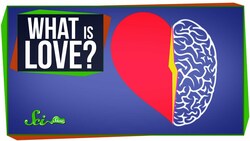 World’s Most Asked Questions: What Is Love? Instructional Video