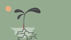 Xylem and Phloem - Part 2 - Transpiration - Transport in Plants Instructional Video