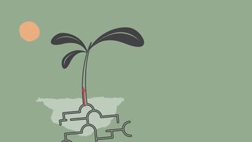 Xylem and Phloem - Part 2 - Transpiration - Transport in Plants