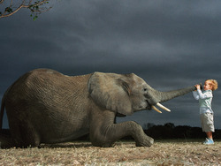 Max the Monkey: Spreading Joy and Laughter Instructional Video