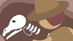 Fossils & Evidence For Evolution Instructional Video