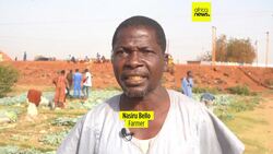 Nigerian farmers struggle as climate change dries up water sources News Clip