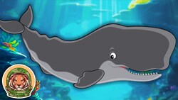 Learn Amazing Facts About Sperm Whales! | Animal Songs For Kids | KLT WILD Instructional Video