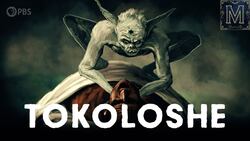 Blame the Tokoloshe! South Africa’s Most Notorious Goblin Instructional Video