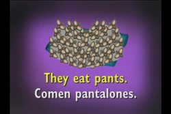 Spanish: Conjugating Verbs Continued Instructional Video