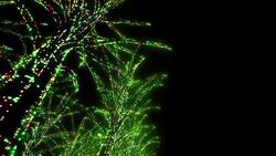 Neon Tree illumination Stock Footage