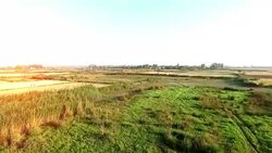 Empty field after wheat crop harvesting during summer season. Stock Footage