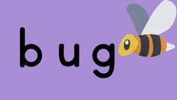 Sound by Sound Blending for Beginning Readers Instructional Video