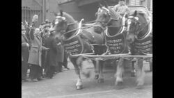 As Prohibition ends, beer in barrels being loaded onto wagons at brewery in Newark, NJ; beer served at Brooklyn bar News Clip