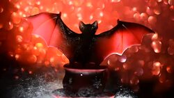 Atmosphere of Halloween Stock Footage