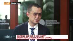 Binance CEO on Cryptocurrencies Outlook News Clip