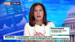 Clarity and Consistency Needed in AI Regulation: BSA CEO News Clip