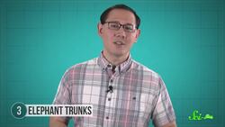 8 Things People Get Wrong About Animals Instructional Video