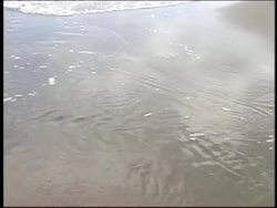 Rocks and the Rock Cycle: the Rock Cycle Instructional Video