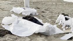 VOICED : Descubren los cuerpos de 28 migrantes en las costas de Libia News Clip