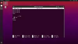 Practical Linux Command Line 2.0 - Configure Nano (.nanorc) Instructional Video