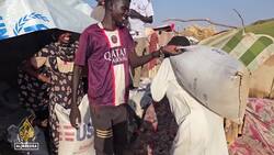Starvation crisis: People who fled el-Fasher are going hungry News Clip