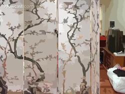 How to Convert a One-Bedroom Apartment to a Two-Bedroom Instructional Video