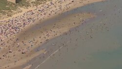 People on beach at Camber Sands on the hottest day in 17 years News Clip