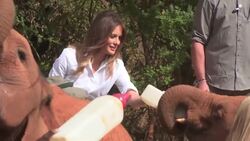Melania Trump feeds elephant in Kenya Instructional Video