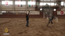 Iraq: Horse riding regains popularity after years of conflict News Clip