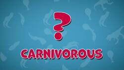 I WONDER - What Are Carnivore Dinosaurs? Instructional Video