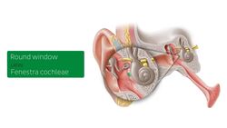 Labyrinth Instructional Video