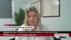 Trump’s tariffs on Canada rooted in ‘expansionist ambitions’: political science expert Instructional Video