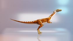 A Fossil of a Rare Dinosaur has Been Identified in Australia Instructional Video