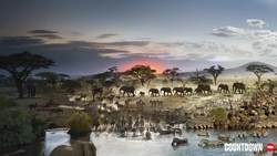 TED: 24 hours on Earth -- in one image | Stephen Wilkes Instructional Video