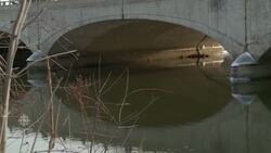 The lead effect News Clip