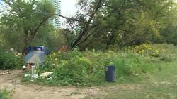 'I put my bike in front of me and then he ran over my bike' News Clip