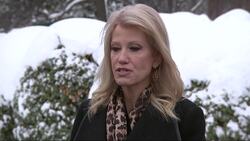 Conway defends Trump's concealment of Putin talks Instructional Video