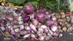 Hunger crisis in Chad: Aid agencies warn of worsening shortages News Clip