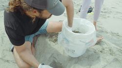 Sea Turtle rescue team in Ecuador Instructional Video