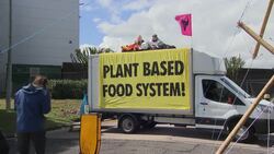 McDonald's distribution centres blockaded by animal rights protesters News Clip