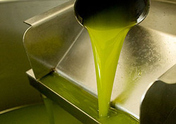 Polyunsaturated Instructional Video